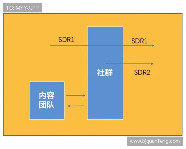 北京篮球队选拔赛点评团队协作表现分析与未来发展建议