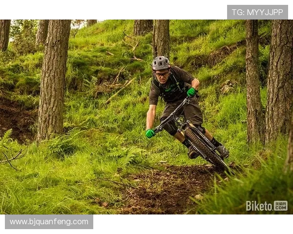 广州乒乓球队耐力训练揭秘:提升竞技水平的秘密武器 广州乒乓球队耐力训练揭秘:提升竞技水平的秘密武器