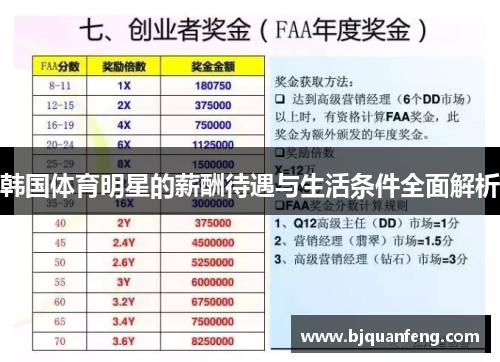 韩国体育明星的薪酬待遇与生活条件全面解析