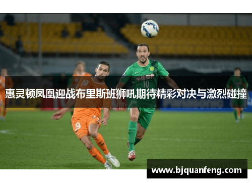 惠灵顿凤凰迎战布里斯班狮吼期待精彩对决与激烈碰撞